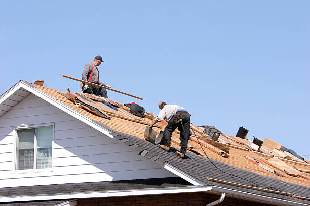 Best Solar Panel Roofing Installation  in Mount Airy, GA