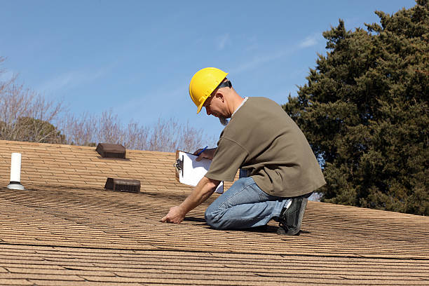 Best Skylight Installation and Repair  in Mount Airy, GA